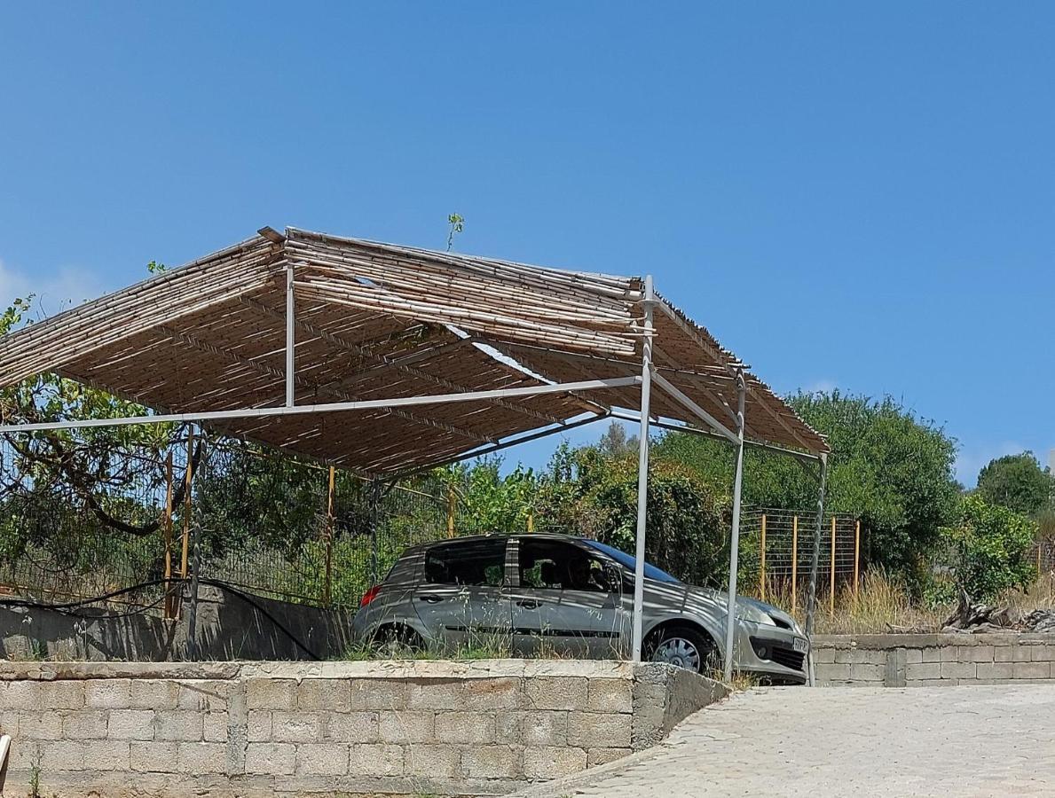 Villa Melenia For Family Holidays By The Beach 阿齐亚·佩拉加 外观 照片
