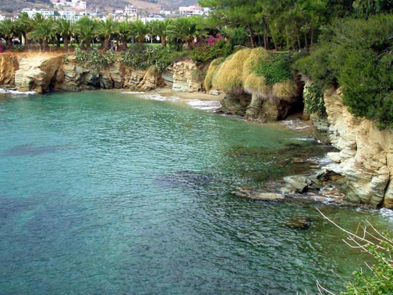 Villa Melenia For Family Holidays By The Beach 阿齐亚·佩拉加 外观 照片